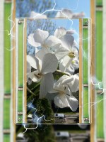 /album/fotogalerie-garten/photostudio-1482365727695-jpg/